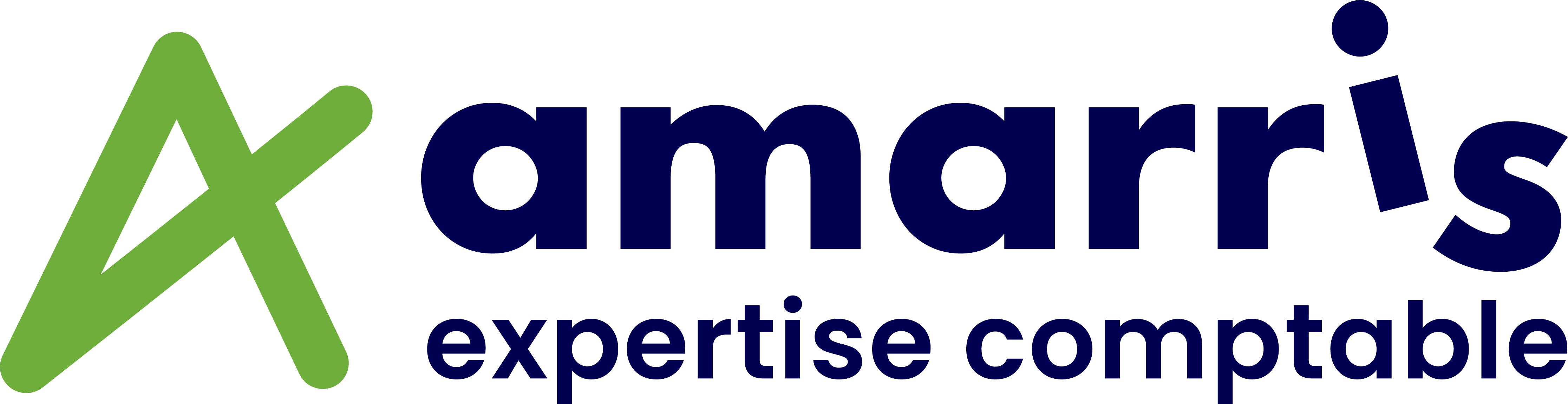 Logo_AmarrisEC-2